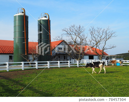 奶牛和穀倉 78457304