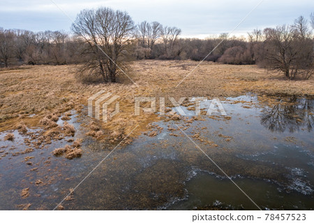 Aerial view of a wetland with frozen water in winter Aerial view of a wetland with frozen water in winter 78457523