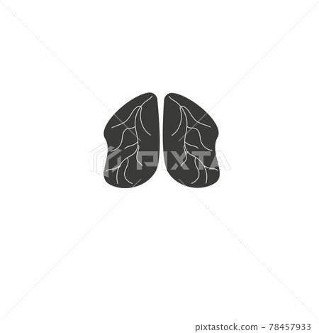 Human lungs anatomy vector icon illustration... - Stock Illustration ...