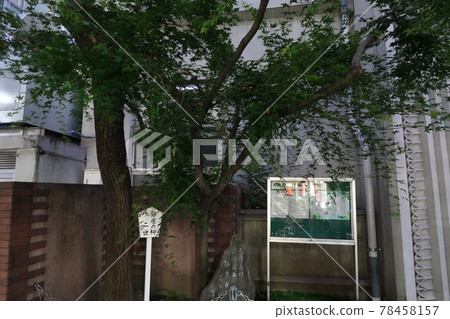 銀座的柳澤 78458157