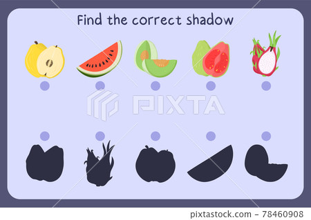 Matching children educational game with food - quince, watermelon, melon honeydew, guava, dragon fruit. Find the correct shadow. Matching children educational game with food - quince, watermelon, melon honeydew, guava, dragon fruit. Find the correct shadow. 78460908