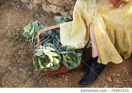 Crop woman with cabbage sitting on brick fence 78461035