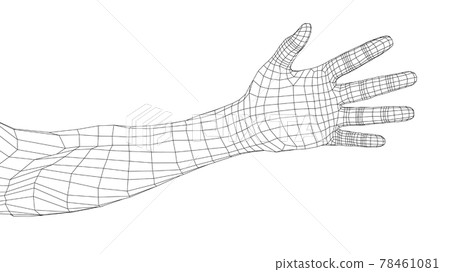 Hand. Vector rendering of 3d 78461081