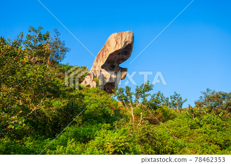 Toad rock in Mount Abu, India Toad rock in Mount Abu, India 78462353