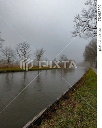 Trees by the river in the morning mist. Silhouette of plants against the background of dawn in 78462702