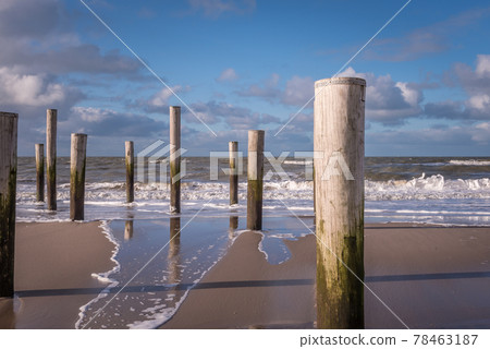 Petten, the Netherlands. March 3, 2021. Wooden poles at the beach near Petten aan Zee, the Netherlands. 78463187