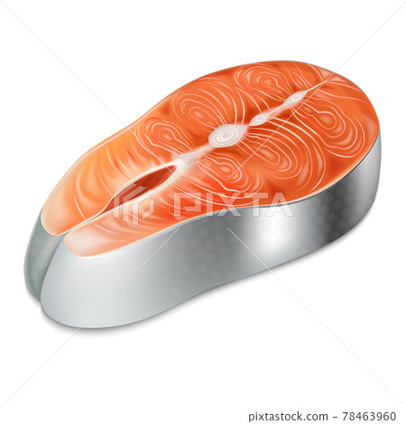 Realistic Detailed 3d Raw Salmon Fillet Slice. Vector 78463960
