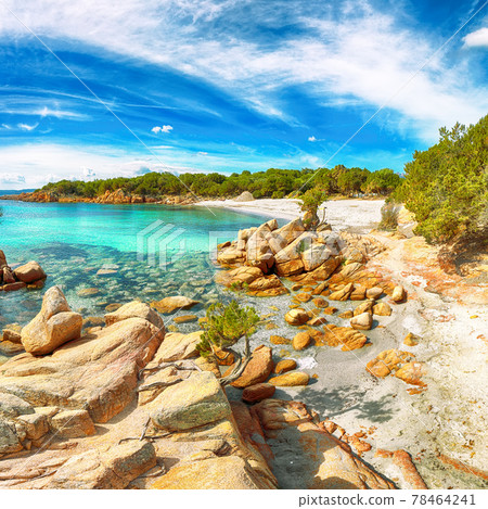 Enchanting view of Capriccioli beach in Costa Smeralda. 78464241