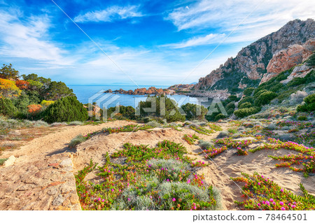 Stunning view of popular travel destination Costa Paradiso. 78464501