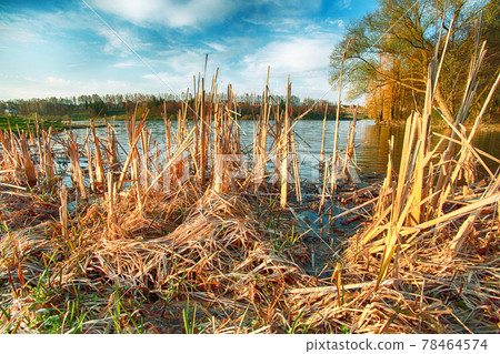 Sunny day on a calm river during early spring 78464574