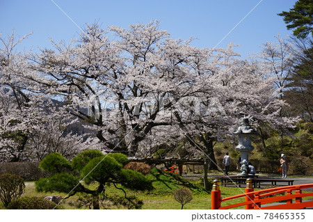Spring Tono Fukusenji Temple 78465355