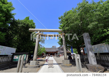 淺草神社東京淺草市容鳥居 78466134