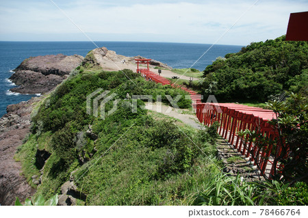 四季漫步夏日元之隅稻荷神社 四季漫步夏日元之隅稻荷神社 78466764