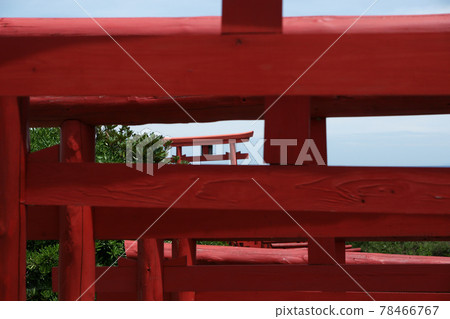 四季漫步夏日元之隅稻荷神社 四季漫步夏日元之隅稻荷神社 78466767