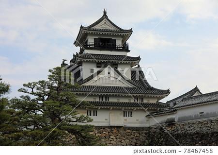 高知城堡在春天 78467458