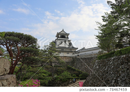 高知城堡在春天 78467459