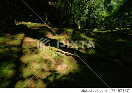 Tottori four seasons walk summer Ikeda family grave Tottori four seasons walk summer Ikeda family grave 78467527