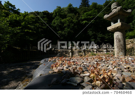 鳥取四個季節步行夏季池田墓地 鳥取四個季節步行夏季池田墓地 78468468