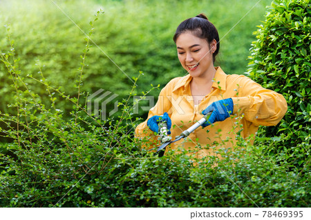 woman using big scissors cutting and trimming plant in garden at home 78469395