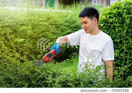 man using  cordless electric hedge cutting and trimming plant in garden at home 78469396