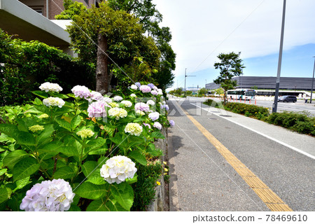 福岡市綜合體育館附近的福岡島城市風光 78469610