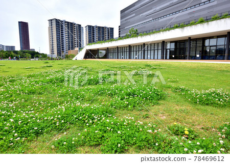 福岡市綜合體育館附近的福岡島城市風光 福岡市綜合體育館附近的福岡島城市風光 78469612