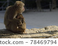 A monkey 78469794