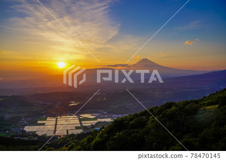 (Shizuoka Prefecture) Shining rice fields and Mt. Fuji in the Tanna Basin evening view 78470145