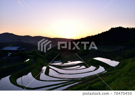 Rice terrace of Hase valley Rice terrace of Hase valley 78470450