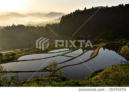 Rice terrace of Hase valley Rice terrace of Hase valley 78470459