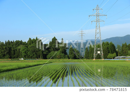 六月田園風光,種稻,輕卡 六月田園風光,種稻,輕卡 78471815