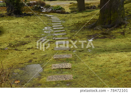 Moss and cobblestone Moss and cobblestone 78472101