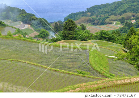 新潟縣佐渡市佐渡島 Iwakubi Shoryu Tanada 78472167