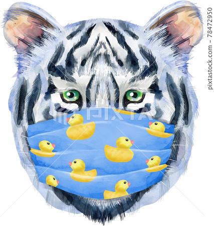 Colorful white tiger tiger in a blue medical mask with ducks. Wild animal watercolor illustration on white background Colorful white tiger tiger in a blue medical mask with ducks. Wild animal watercolor illustration on white background 78472950