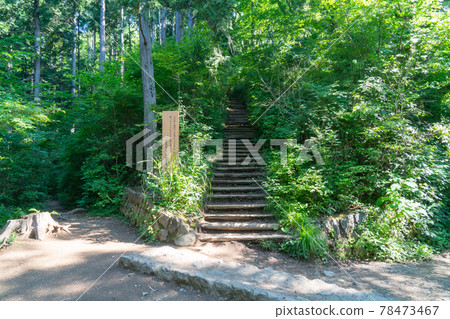 高尾山山頂下方稻荷山路線的階梯 高尾山山頂下方稻荷山路線的階梯 78473467