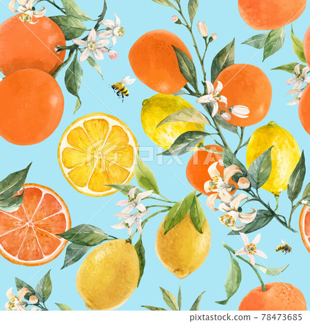 Beautiful vector seamless pattern with watercolor hand drawn citrus orange lemon grapefruit fruits. Stock illustration. Beautiful vector seamless pattern with watercolor hand drawn citrus orange lemon grapefruit fruits. Stock illustration. 78473685