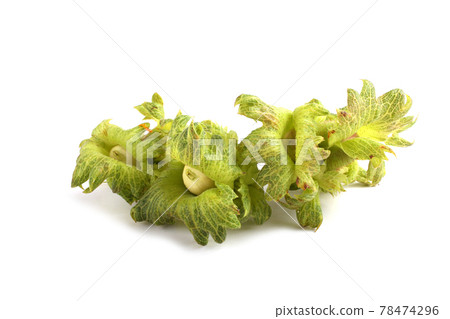Wild hazelnuts isolated on white Wild hazelnuts isolated on white 78474296