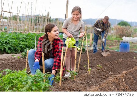 Woman with little girl watering plants in garden closeup Woman with little girl watering plants in garden closeup 78474789