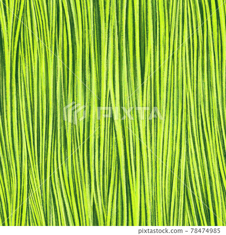 Bright green and yellow vertical wavy lines seamless pattern. Striped nature green background. Bright green and yellow vertical wavy lines seamless pattern. Striped nature green background. 78474985