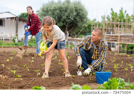 Amicable family working together on backyard garden 78475004