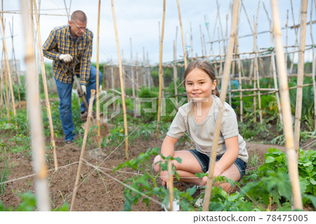 Girl working with man on backyard garden Girl working with man on backyard garden 78475005