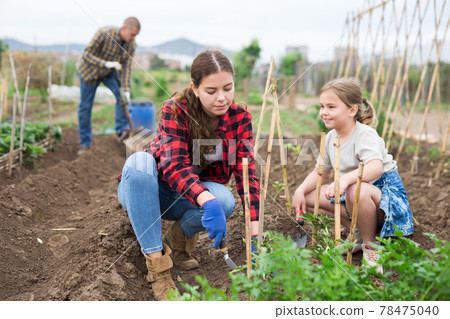 Mother and daughter working in garden Mother and daughter working in garden 78475040