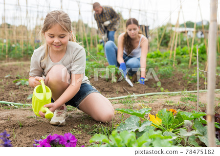 Woman with little girl watering plants in garden closeup Woman with little girl watering plants in garden closeup 78475182