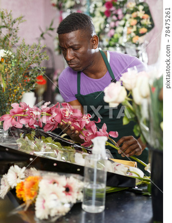Florist preparing orchids for bouquet Florist preparing orchids for bouquet 78475261