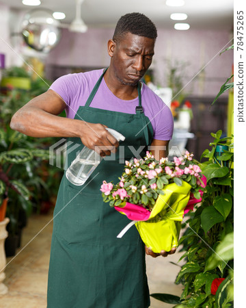 Owner of flower shop spraying potted flowers Owner of flower shop spraying potted flowers 78475265