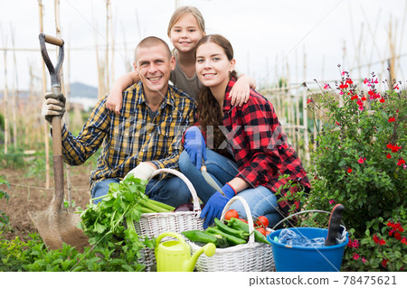 Happy family with harvest vegetable in garden 78475621