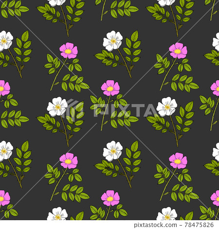 Seamless pattern with cherokee rose and wild prairie rose Seamless pattern with cherokee rose and wild prairie rose 78475826