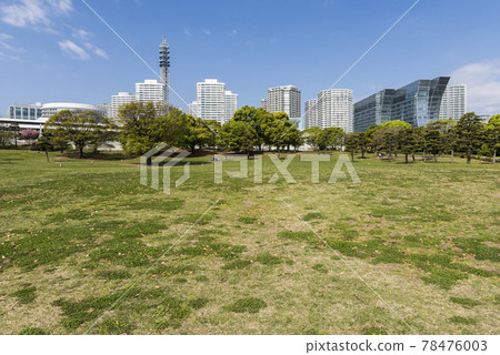 Plaza of Yokohama Port Rinko Park 78476003