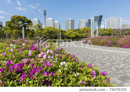 橫濱臨空公園公園 橫濱臨空公園公園 78476305