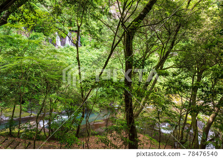 Beautiful early summer image of fresh green and waterfall scenery 78476540